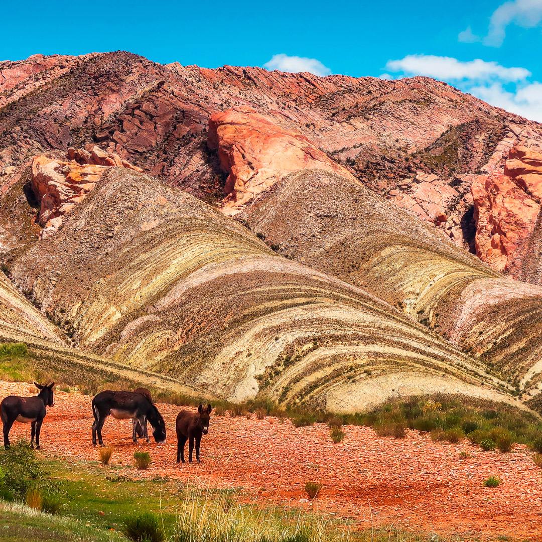 cerro-siete-colores-argentina