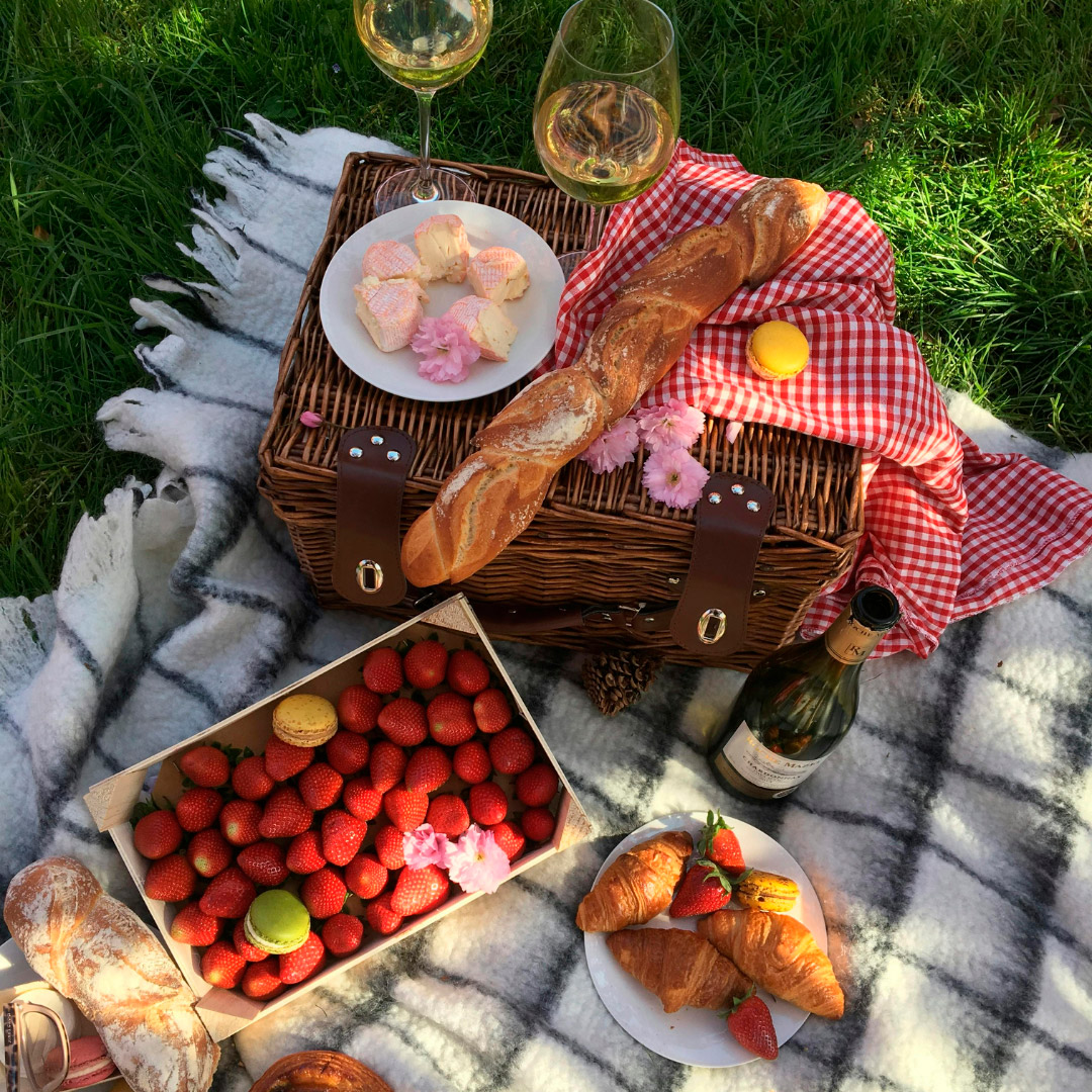 picnic-frances