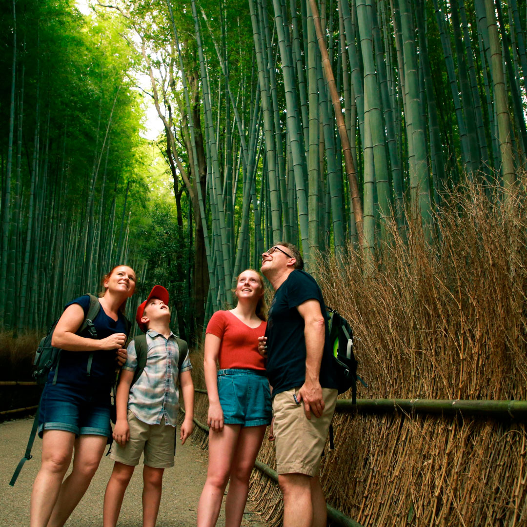 bosque-de-bambu-japon