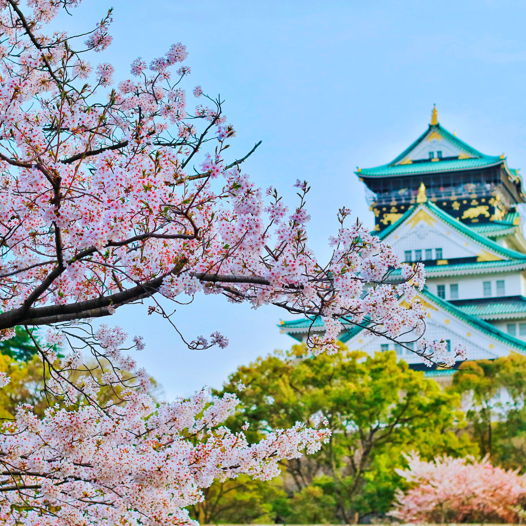 castillo-sakura-japon