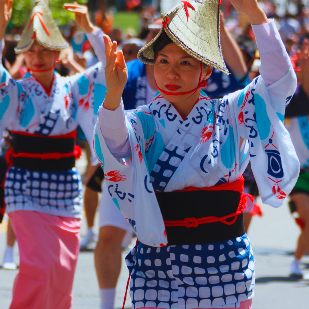 festival-del-cerezo-japon